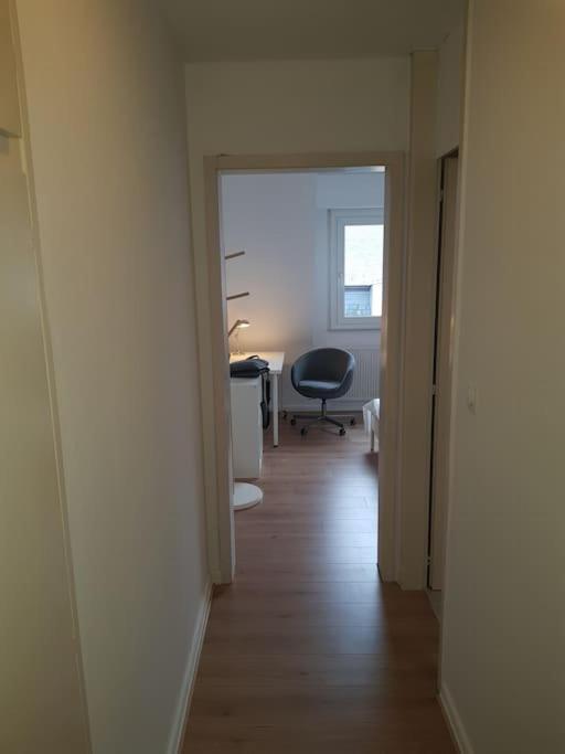 Studio De La Petite France Lägenhet Strasbourg Exteriör bild